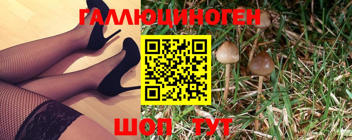 Псилоцибиновые грибы ЛСД Ростов-на-Дону