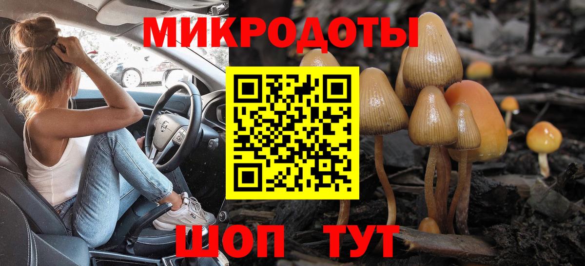где купить   Галлюциногенные грибы Magic Shrooms  Вход с VPN  Галлюциногенные грибы GOLDEN TEACHER  Ростов-на-Дону 